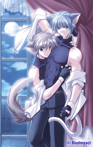 normal_kittyboys.jpg